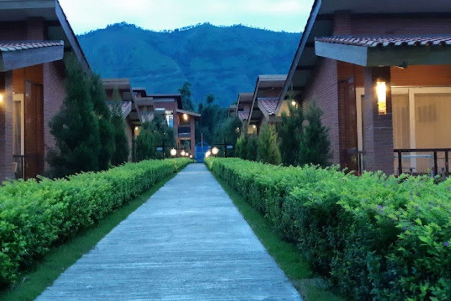 10 Rekomendasi Hotel di Bromo, Pilihan Penginapan yang Hemat & Nyaman