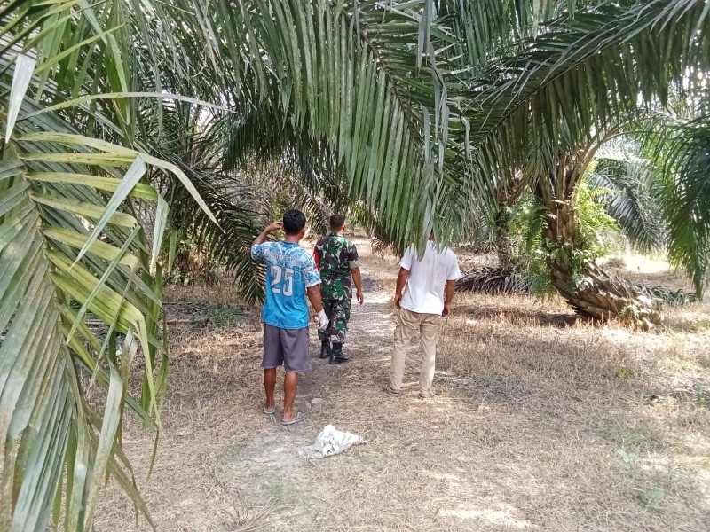 Babinsa Sertu L. Syahdanur Patroli Karhutla di Tualang, Tidak Ditemukan Titik Api