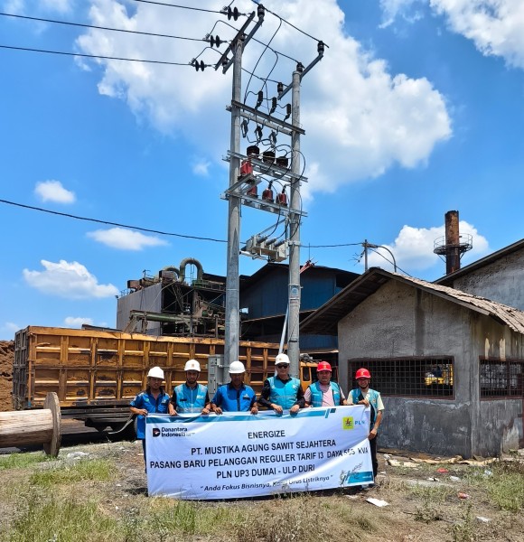 Dukung Pertumbuhan Industri Kelapa Sawit, PLN Sambung Listrik 555 kVA ke Mustika Agung Sawit Sejahtera