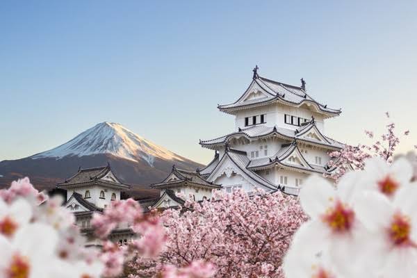 Tips Itinerary Jepang 5 Hari, Destinasi Wajib dan Hemat Budget