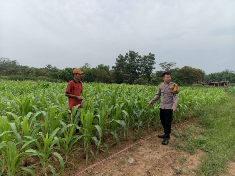 Polsek Pasir Penyu Dorong Warga Manfaatkan Lahan Pekarangan Untuk Dukung Ketahanan Pangan Nasional