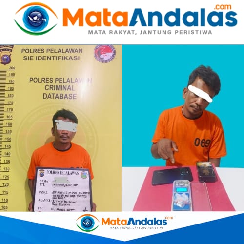 Polres Pelalawan Ringkus Pengedar, 8 Paket Sabu Diamankan di Pangkalan Kuras
