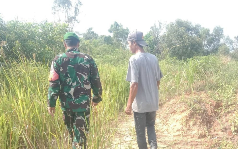 Babinsa Buluh Kasap Patroli Karhutla dan Dampingi Petani di Bagan Keladi