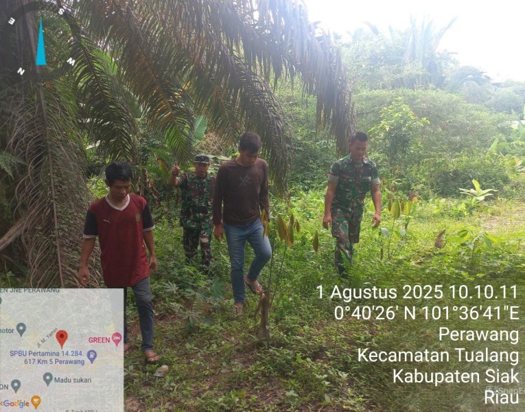 Babinsa Koramil 04/Perawang Sertu Sarju dan Koptu Togi S Gelar Patroli Karhutla di Perawang Barat, Titik Api Nihil