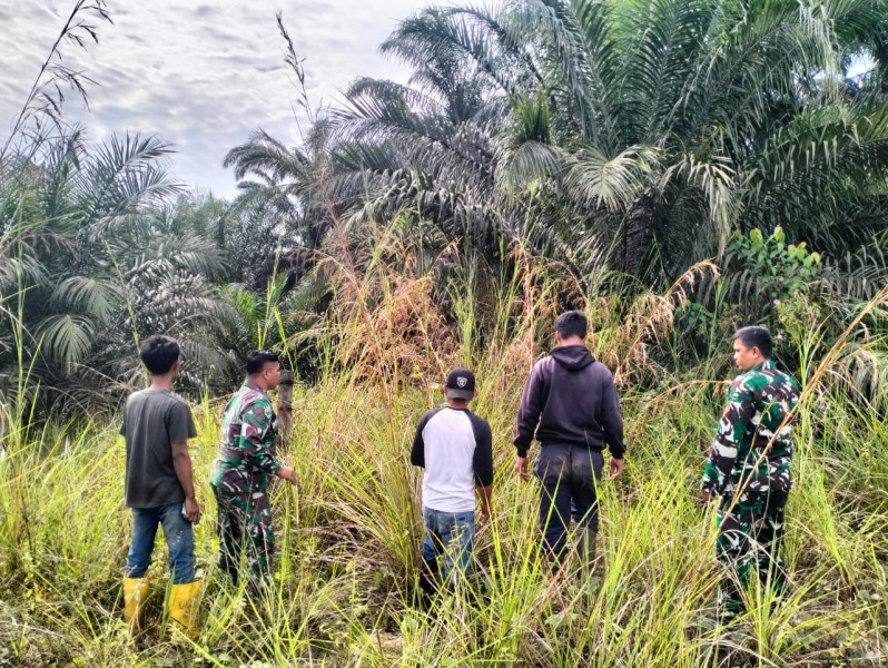 Babinsa Koptu Salomo Sembiring Patroli Karhutla di Minas Jaya, Pastikan Wilayah Aman dari Titik Api