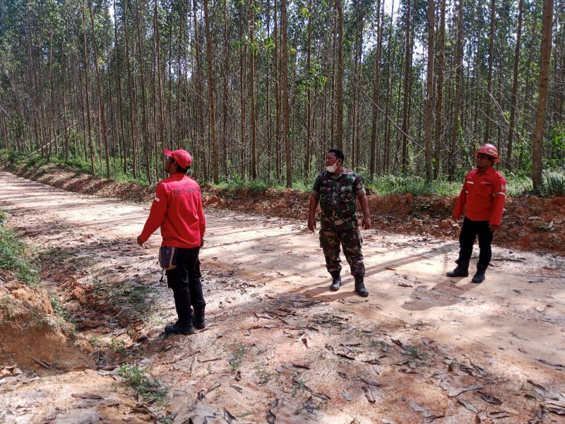 Babinsa Serma D. Sihombing Intensifkan Patroli Karhutla di Sungai Mandau, Antisipasi Kebakaran Hutan dan Lahan