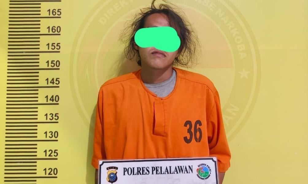 Gerebek di Dusun Tasik Indah! Satresnarkoba Polres Pelalawan Bekuk Pengedar Sabu