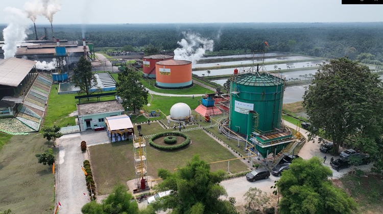 ROA PalmCo Tembus 7,9 Persen, Sinyal Penguatan Kinerja Aset BUMN Perkebunan