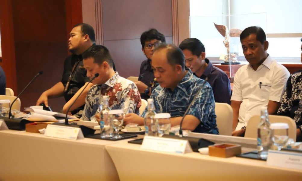Audiensi Bersama PLN Pusat, Bupati Inhil Sampaikan Kondisi Krisis Listrik di Desa-Desa
