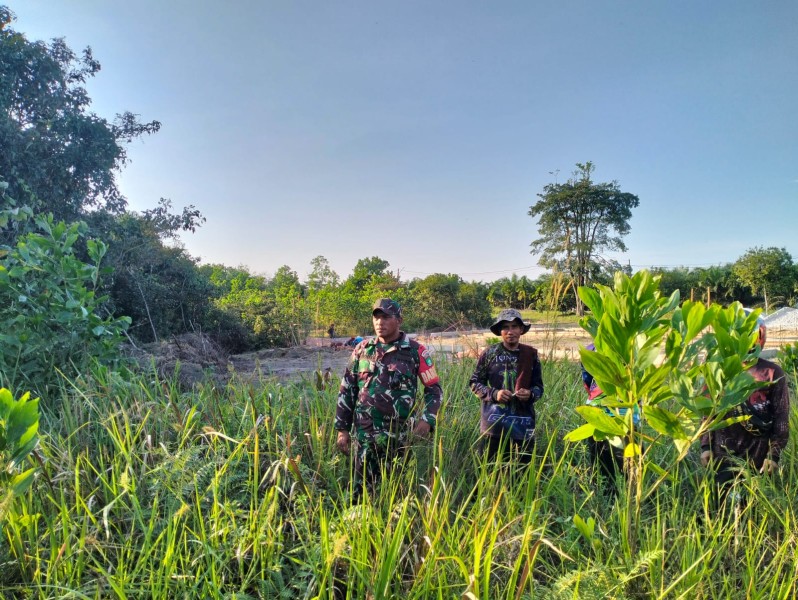 Babinsa Serma Risman Girsang Patroli Karhutla di Sungai Selodang, Pastikan Wilayah Bebas Titik Api