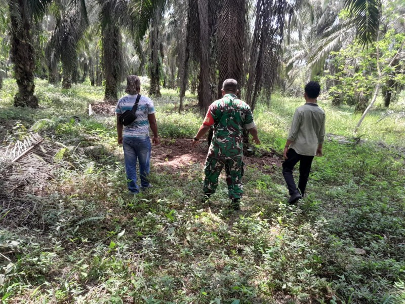 Babinsa Sertu Venus Luberto Patroli Karhutla, Pastikan Wilayah Perawang Barat Aman dari Titik Api