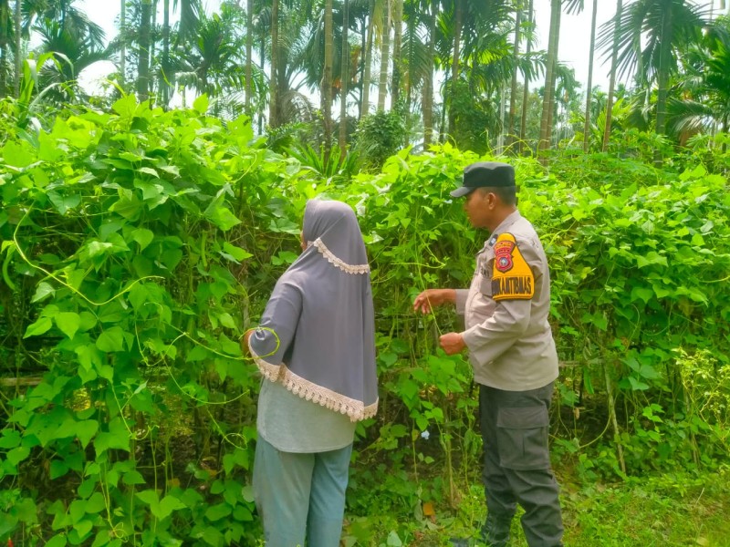 Bhabinkamtibmas Desa Pasir Bongkal Aktif Dukung Ketahanan Pangan Nasional, Warga Didorong Optimalkan Lahan Pekarangan
