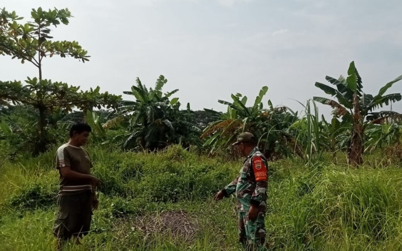 Serda Marwis Patroli Karhutla: Alhamdulillah, Hari ini Tidak Ditemukan Titik Api
