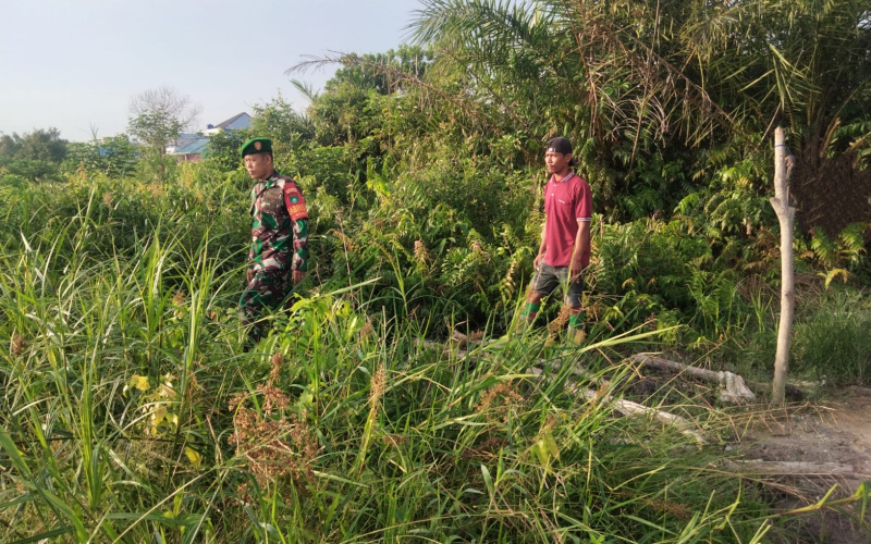 Babinsa Koramil 01/Dumai Gencarkan Patroli Karhutla dan Dampingi Pertanian Warga