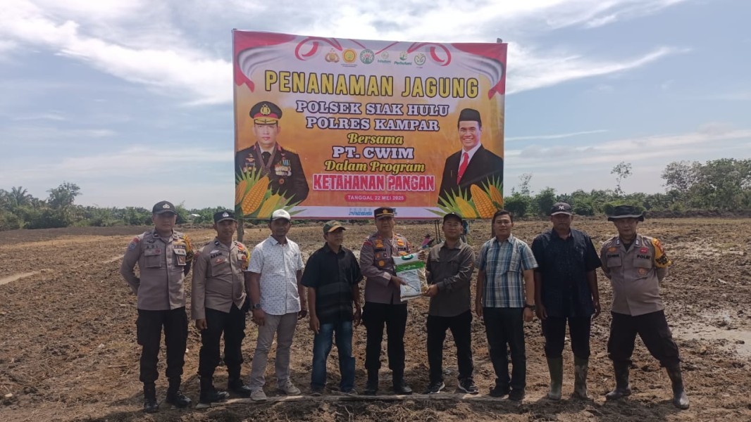 Polsek Siak Hulu dan PT. CWIM Tanam Jagung,  Dukung Ketahanan Pangan Nasional