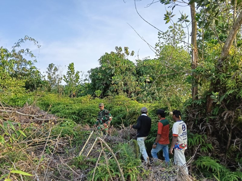 Sertu Joko Purnomo Laksanakan Patroli Karhutla di Bencah Umbai, Kondisi Aman dan Nihil Titik Api