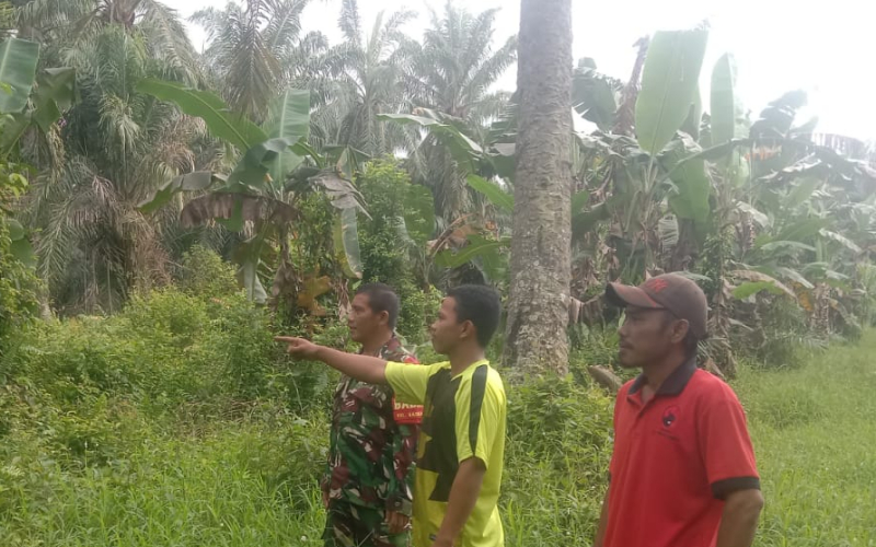 Babinsa Koramil 03 Sei Sembilan Laksanakan Patroli Karhutla, Warga Diimbau Tidak Membakar Lahan