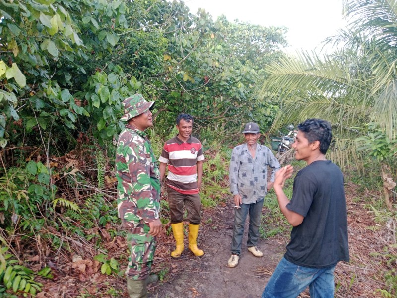 Babinsa Sertu Sugiarto Laksanakan Patroli Karhutla di Rantau Bertuah