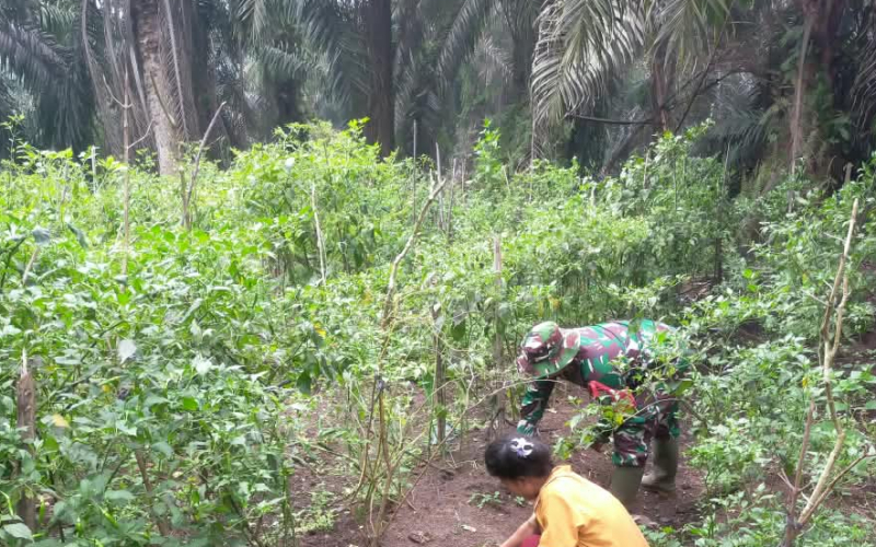 Koramil 02/Bukit Kapur Bersama PHR Perketat Pengawasan Jalur Pipa Minyak