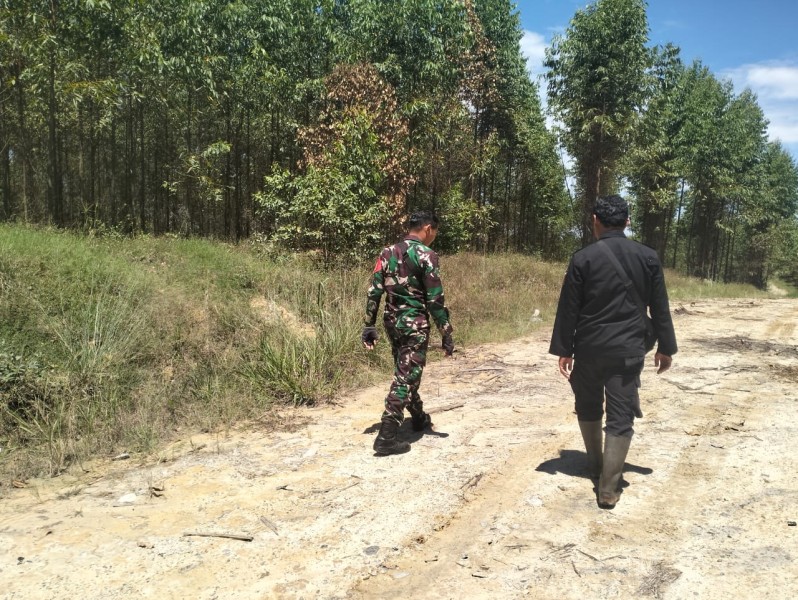 Babinsa Serda Holmes Pasaribu Patroli Karhutla di Sungai Mandau, Pastikan Wilayah Aman dari Titik Api