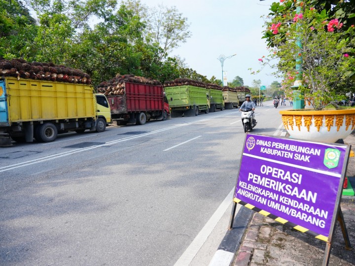 Truk Sawit di Siak Dilarang Melintas di Kawasan Padat Aktivitas Sekolah
