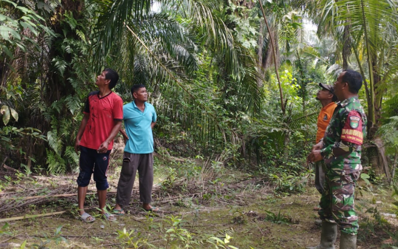 Babinsa Lubuk Gaung Gencarkan Patroli Karhutla, Wilayah Tetap Nihil Titik Api