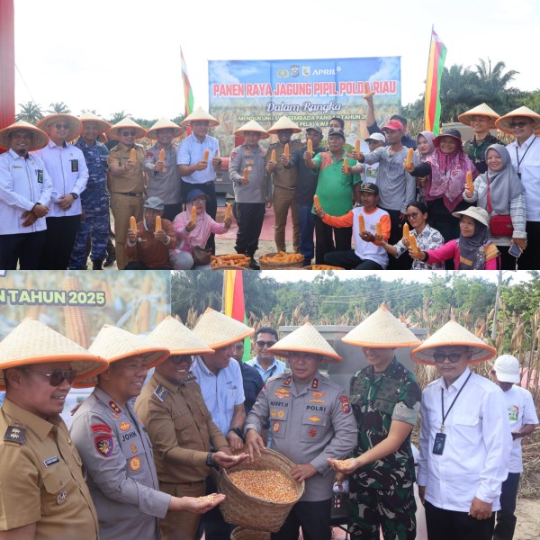 Kapolda Riau Irjen Pol Herry Heryawan Panen Raya 15 Ton Jagung di Lahan Ketahanan Pangan Polres Pelalawan