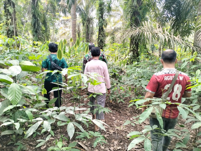 Babinsa Koramil 03/Minas Laksanakan Patroli Karhutla di Sungai Mandau, Titik Api Nihil