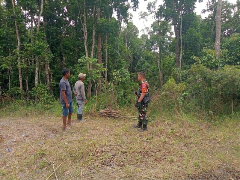 Cegah Karhutla, Babinsa Koramil 01/Dumai Patroli dan Sosialisasi Larangan Bakar Lahan