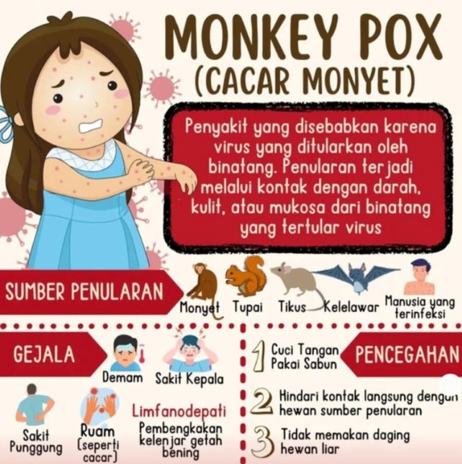 Imbau Warga Waspada, Gubri Pantau Kasus Dugaan Cacar Monyet di Meranti
