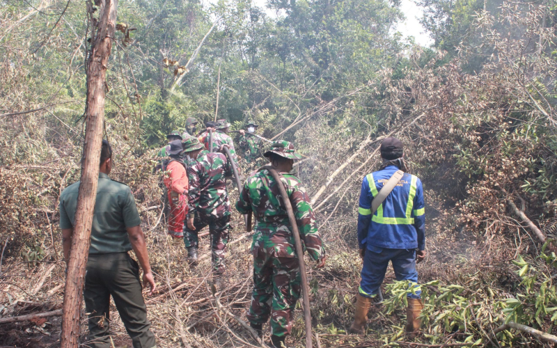 Dandim Dumai Gerak Cepat Turun ke Lokasi Karhutla di Bagan Keladi