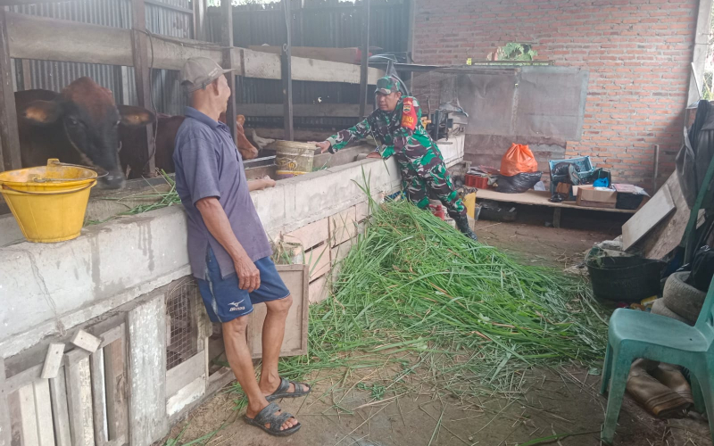 Sosialisasi Kesehatan, Babinsa Purnama Pantau Peternakan di Wilayahnya