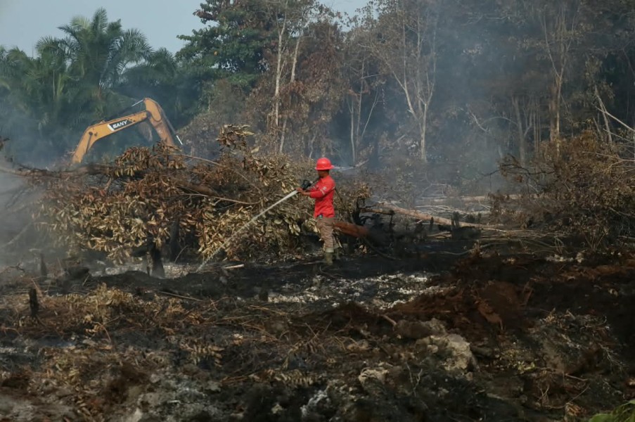 Penanganan Karhutla Maksimal, Riau Dikeluarkan dari Daftar Provinsi Prioritas Nasional