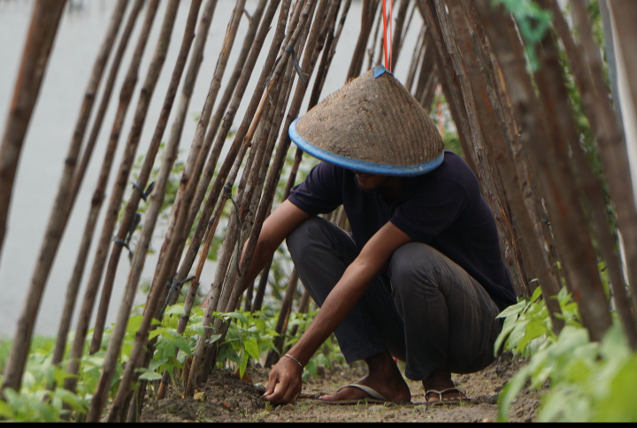 Konsisten Dukung Ketahanan Pangan, Lahan SAE Rutan Dumai Kembali Ditanami Kacang Panjang