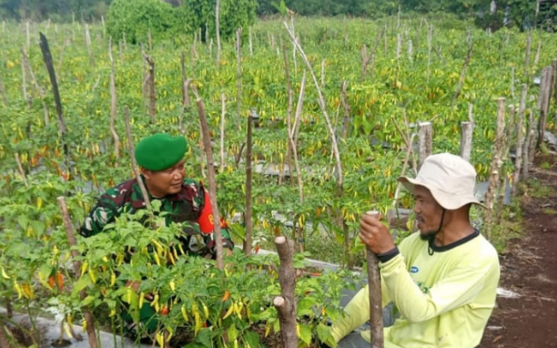 Cegah Karhutla dan Banjir, Babinsa Dumai Barat Aktif Sosialisasi dan Pendampingan Pertanian