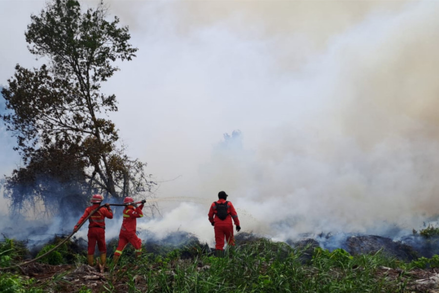 Karhutla di Indonesia Turun Drastis, Menhut Raja Juli Puji Kinerja Manggala Agni