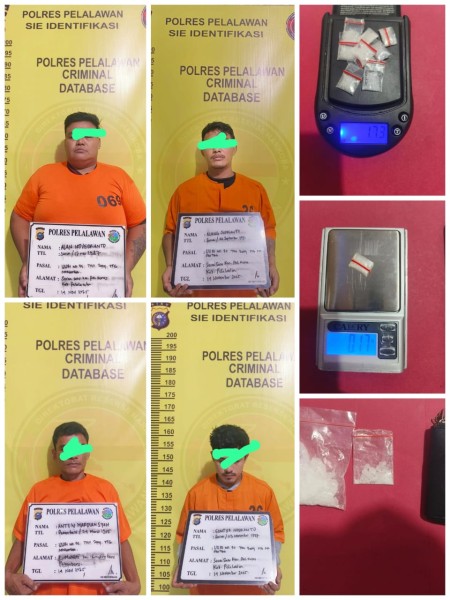 Tim Opsnal Satresnarkoba Polres Pelalawan Bongkar Jaringan Pengedar Sabu di Pangkalan Kuras, Empat Tersangka Ditangkap