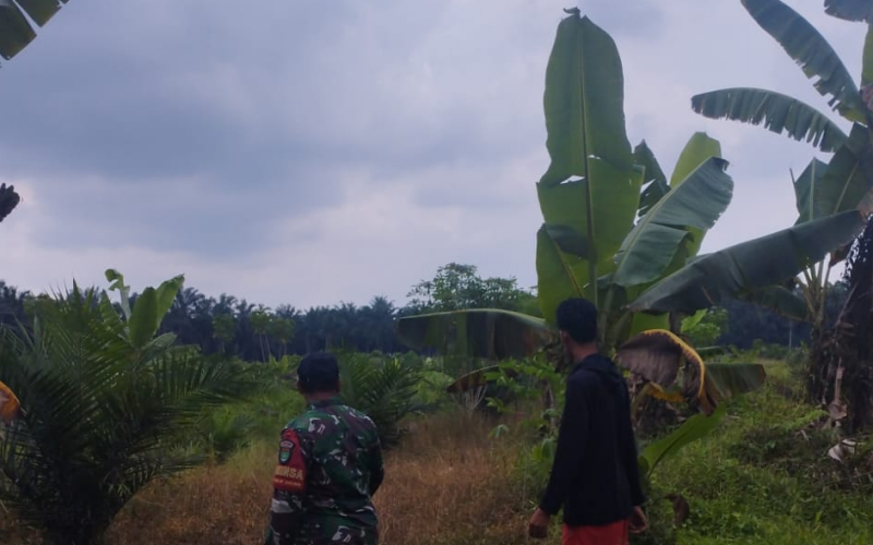 Babinsa Koramil 03/Sungai Sembilan Intensifkan Patroli dan Sosialisasi Cegah Karhutla di Lubuk Gaung
