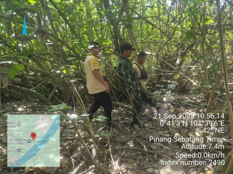 Babinsa Koramil 04/Perawang Gelar Patroli Karhutla di Pinang Sebatang Timur