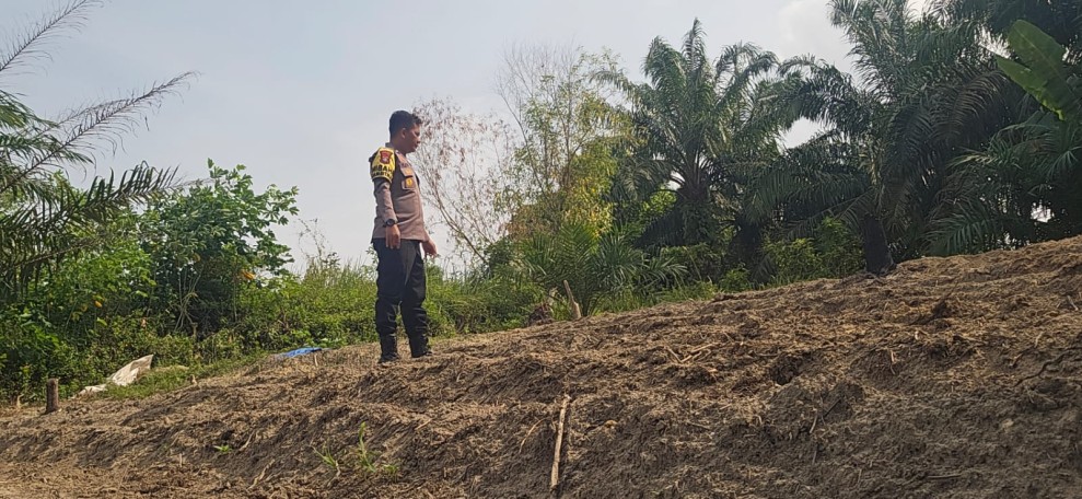 Lahan Setengah Hektare Disiapkan untuk Jagung Pipil, Polsek Minas Turun Dampingi Petani