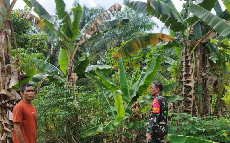 Serda Miftah Sosialisasi dan Patroli, Jaga Keamanan Lingkungan