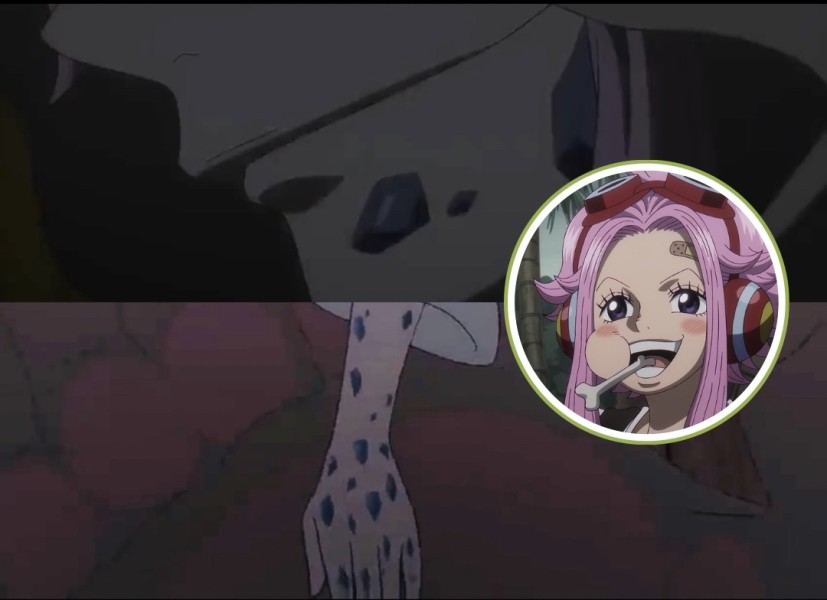 Mengenal Penyakit Sisik Safir Penyakit Langka yang Merenggut Nyawa Ginny, Ibu Bonney di One Piece