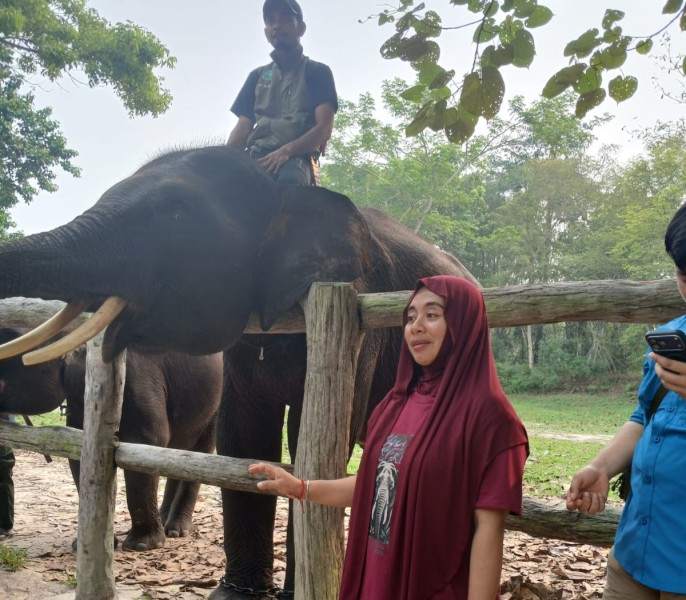 Pramuka Ukui Bentuk Kader Konservasi TNTN, Kelahiran Bayi Gajah Jadi Momentum Jaga Hutan dan Satwa
