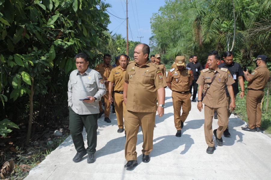 Pemerintah akan Buka 1.200 Ha Lahan Sawah di Asahan