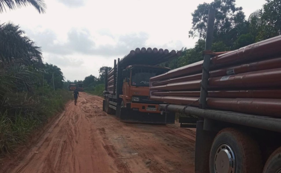 Tiang PLN Mulai Masuk Dusun Bedeng, Bupati Siak Pastikan Listrik Segera Menyala di Pelosok