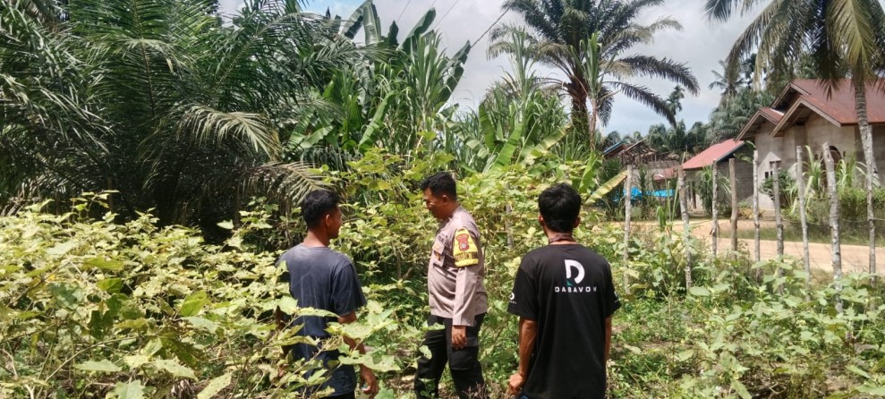 Polisi Cinta Petani, Polres Inhu Fokus Motivasi Pemanfaatan Pekarangan Produktif Warga