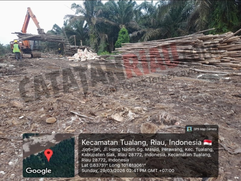 Proyek Pembangunan PT CONCH Berjalan, DPMPTSP Siak: Lapor ke Satpol PP dan PUPR...