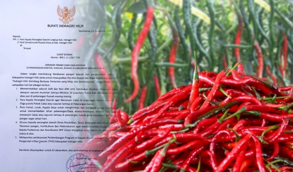 Cabai Merah Alami Inflasi, Bupati Inhil Terbitkan Surat Edaran  Gerakan Tanam Sayuran