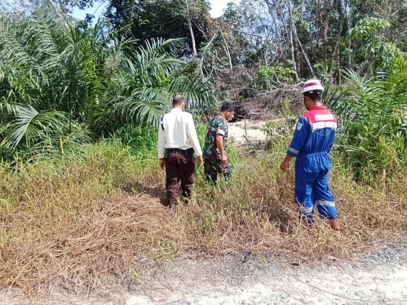 Sertu L. Syahdanur Patroli Karhutla di Kuala Gasib Timur, Pastikan Wilayah Nihil Titik Api