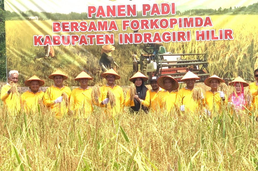 Kodim 0314/Inhil Dukung Ketahanan Pangan Lewat Panen Padi Varietas Unggul di Tempuling